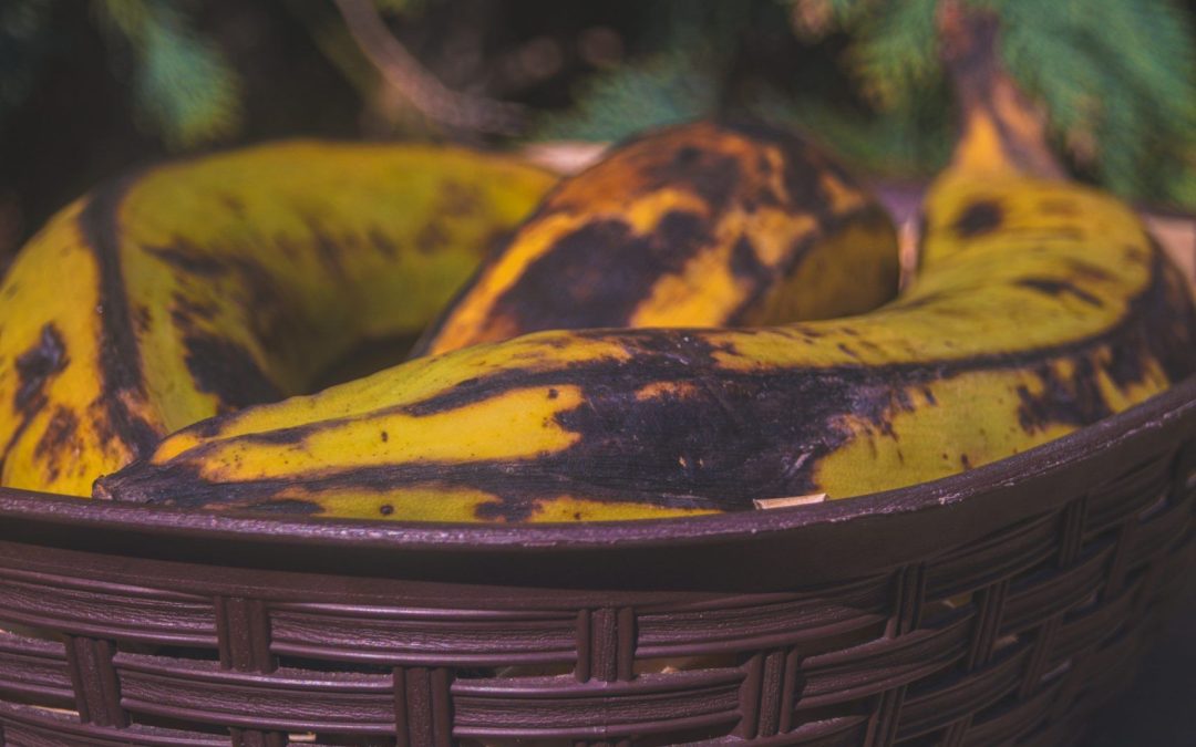 Plátano macho