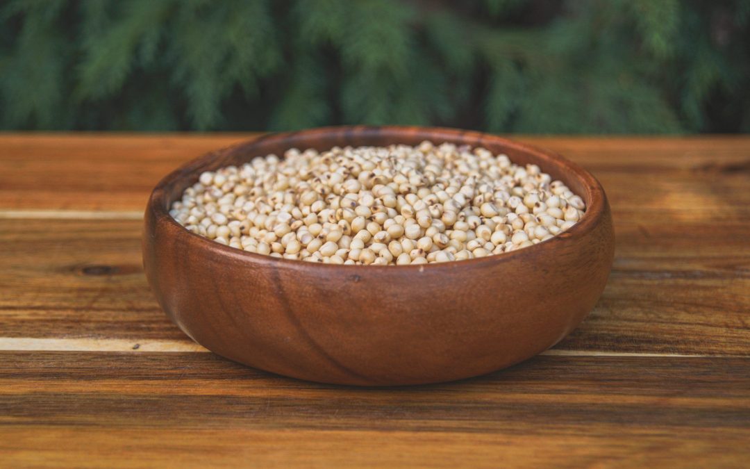Sorgo